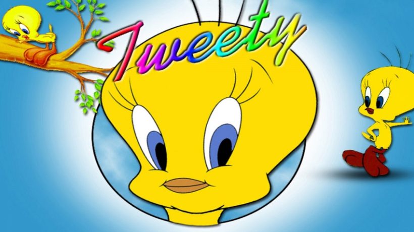 Is Tweety Bird a Real Bird? Unraveling the Mystery 