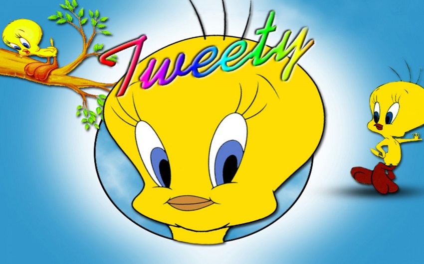 Is Tweety Bird a Real Bird