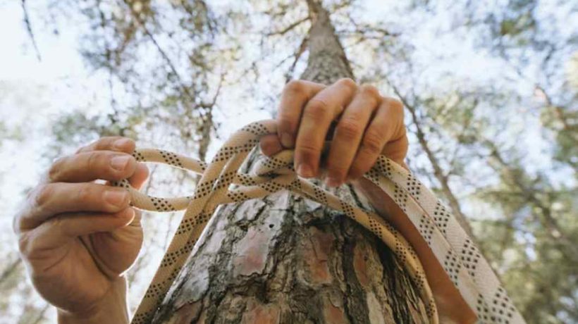 What Type of Rope is Best for Pulling Trees?