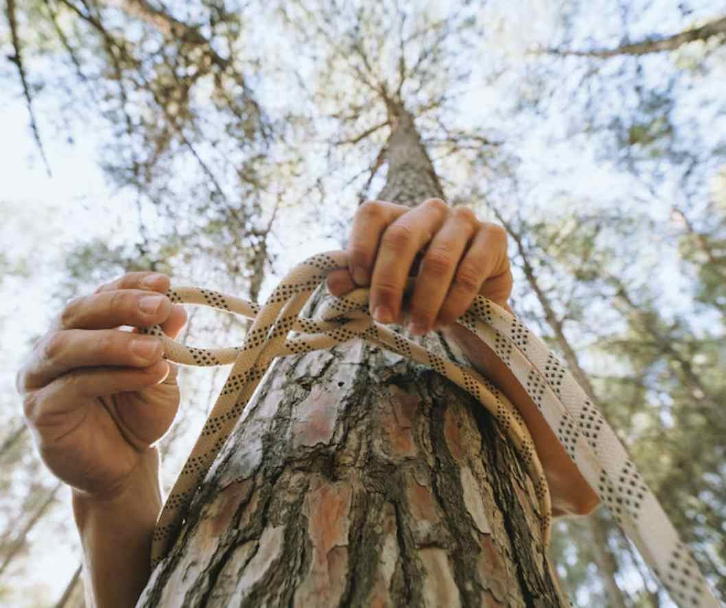 What Type of Rope is Best for Pulling Trees